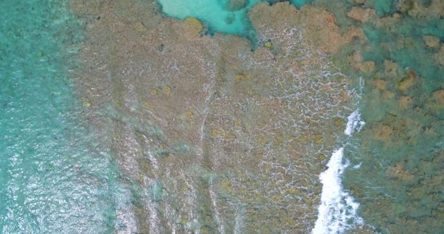 Aerial View of Coral Reef in Clear Blue Ocean - Download Free Stock Images Pikwizard.com