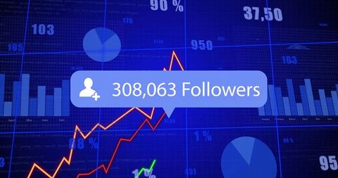 Social Media Follower Surge Dashboard Showing 308,063 Followers with Analytics Charts