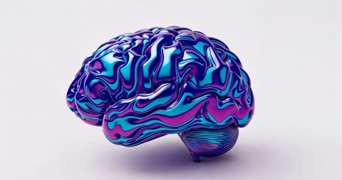 Glossy 3D Brain Model Rotating Highlighting Neural Innovation