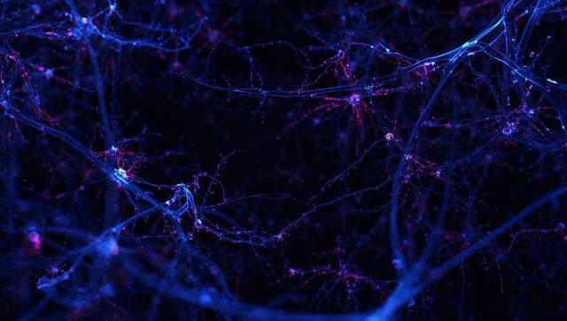 Glowing filament network with luminescent nodal clusters