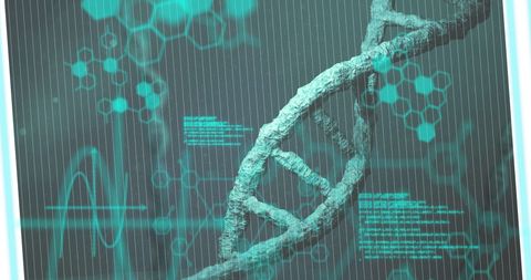 digital scientific analysis of dna strand with tech overlay - Download Free Stock Images Pikwizard.com