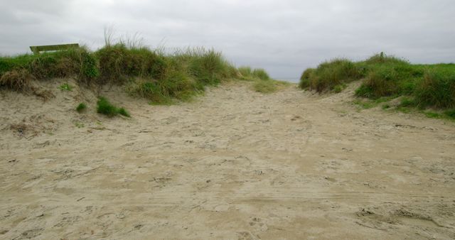 Sandy Pathway Through Dunes on Cloudy Day - Download Free Stock Images Pikwizard.com