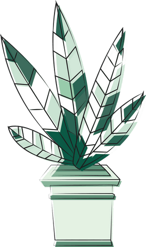 transparent green plant in geometric pot illustration - Download Free Stock Videos Pikwizard.com