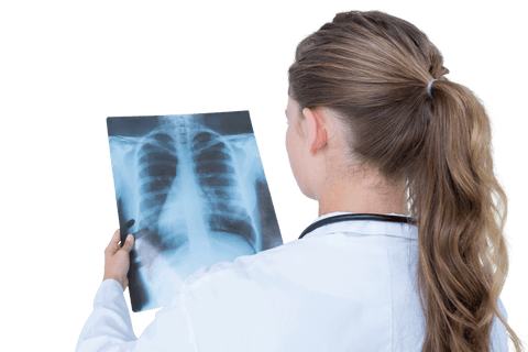 Doctor analyzing chest x-ray transparent background