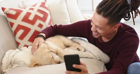 Man petting sleeping golden retriever puppy on cozy sofa while holding smartphone