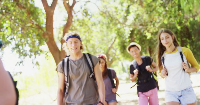 Group of Young Friends Hiking in Forest on Sunny Day - Download Free Stock Images Pikwizard.com