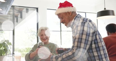 Senior Friends Enjoying Christmas at Home with Wine