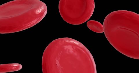 Red Blood Cells Microscope View on Black Background