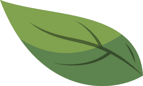 Minimalistic Flat Green Leaf Floating on Transparent Background - Download Free Stock Videos Pikwizard.com