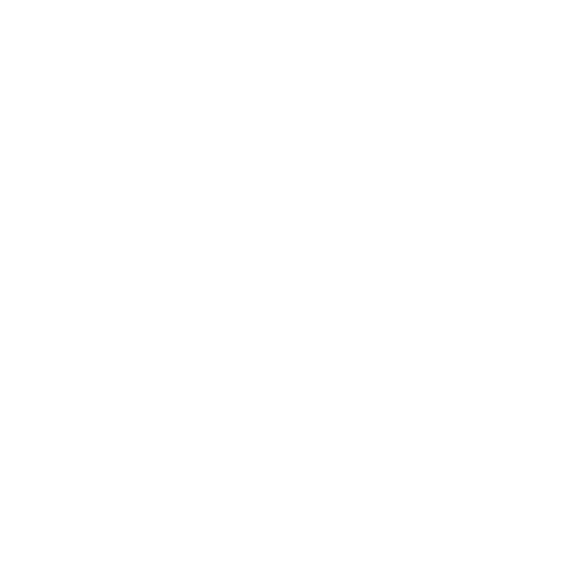 White Rabbit Outline Illustration on Transparent Background - Download Free Stock Videos Pikwizard.com