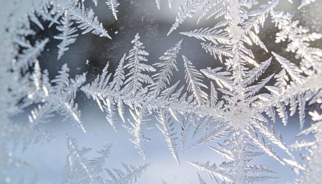 Frost crystals forming fern patterns on winter window glass with sparkling light