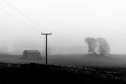 Misty Rural Landscape at Dawn with Hazy Silhouettes
