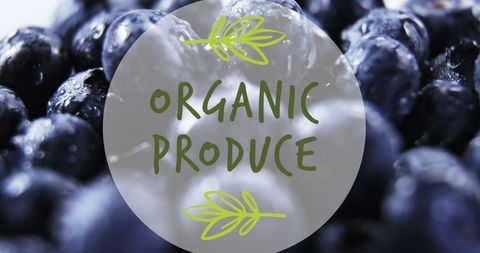 Organic produce label with fresh blueberries
