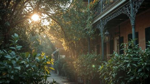 Morning sunlight over historic louisiana walkway with wrought-iron detail smiles