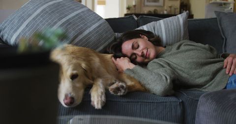 Woman Relaxing with Golden Retriever on Cozy Sofa - Download Free Stock Images Pikwizard.com