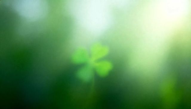 Dreamy four-leaf clover glowing in soft green bokeh, macro lucky shamrock background