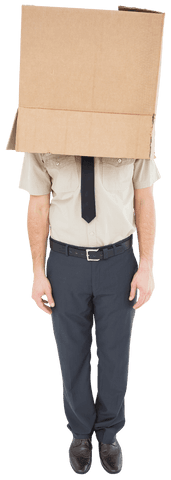 businessman with box on head isolated on transparent background - Download Free Stock Videos Pikwizard.com