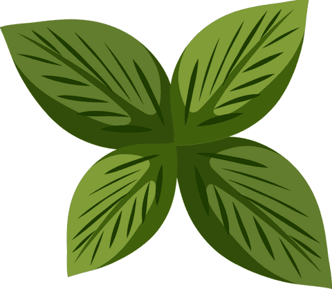 Four symmetrical green leaves logo on transparent background