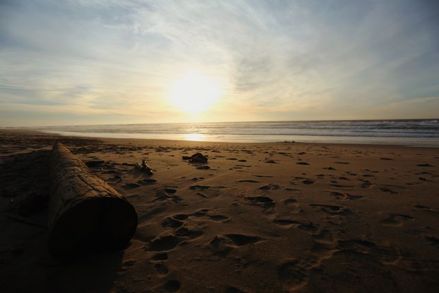Brown Soiled Shore during Sunset - Download Free Stock Photos Pikwizard.com