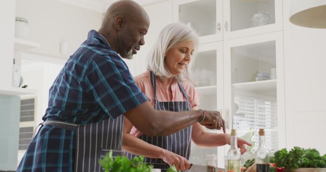 Happy Senior Couple Cooking Together in Kitchen - Download Free Stock Images Pikwizard.com