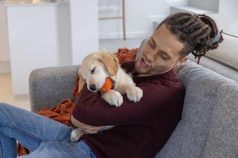 Dreadlocked man cuddling golden retriever puppy on sofa holding orange chew toy at home