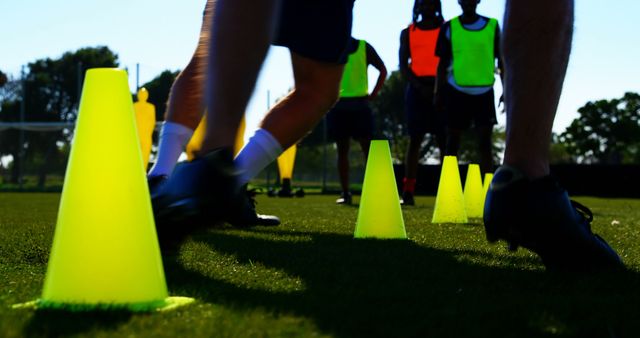 Players Training with Cones on Green Field in Sunlight - Download Free Stock Images Pikwizard.com