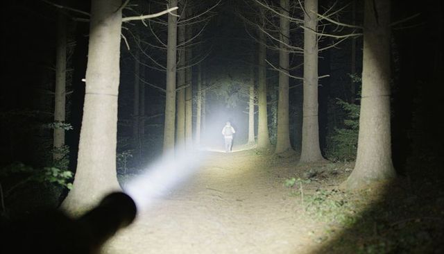 Flashlight beam guiding lone hiker walking night trail through dense pine forest