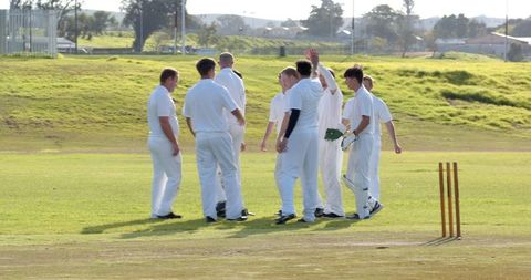 Cricket Team Celebrating Wicket in Outdoor Match