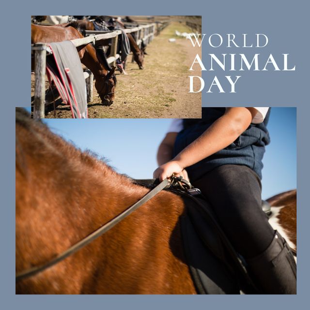 Composition of world animal day text over biracial boy riding horse on grey background. World animal day and celebration concept digitally generated image.