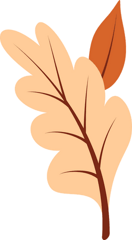 Transparent Peach Oak Leaf Illustration on White Background - Download Free Stock Videos Pikwizard.com