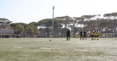Soccer Ball Flying Towards Goal on Sunny Day as Goalkeeper Dives - Download Free Stock Images Pikwizard.com