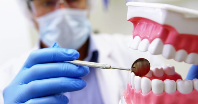 Close-up of dentist holding and examining a mouth model in dental clinic 4k