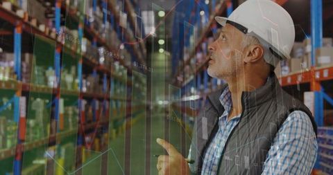 Warehouse Inspector Analyzing Inventory with Graphs