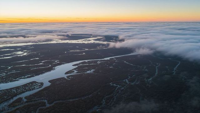 Aerial sunrise over estuary marshland with winding tidal creeks, waterways, low cloud bank