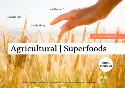 Golden wheat fields promoting healthy superfoods
