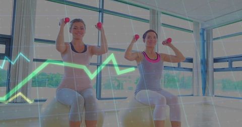 Dynamic Fitness Partners Building Strength with Stability Balls and Dumbbells