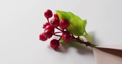 Glossy red berry cluster resting on white background with green leaf and beige envelope