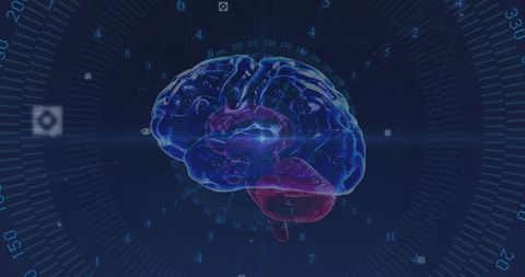 Digital Data Processing Brain with Global Interface Visualization - Download Free Stock Images Pikwizard.com