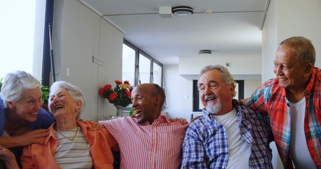 Senior Friends Enjoying Quality Time in Bright Living Room - Download Free Stock Images Pikwizard.com