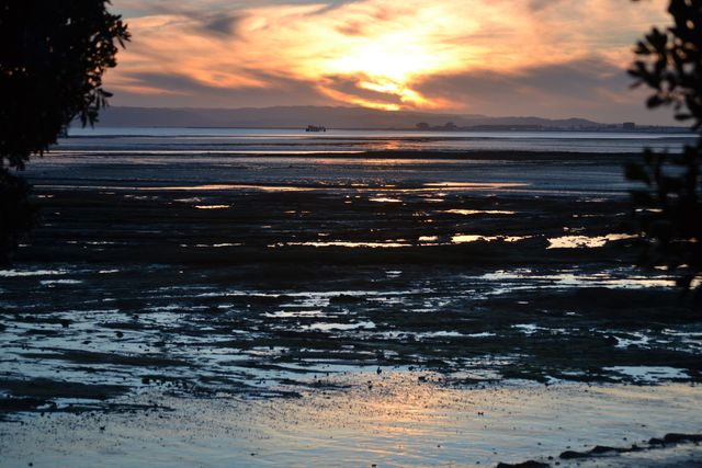 Stunning orangey-pink sunset reflecting off ocean mudflats, with silhouetted trees framing scene. Perfect for wall art, travel brochures, nature blogs, environmental campaigns, and relaxation-themed media.