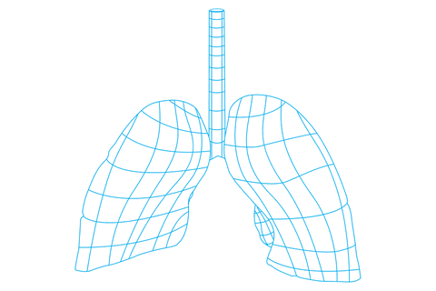 Digital Illustration of Blue Lungs on Transparent Background