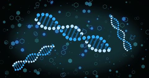 Digital Representation of DNA Strands on Black Background - Download Free Stock Images Pikwizard.com