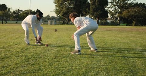 Cricket teammates diving to catch ball on sunlit grass wearing white uniforms