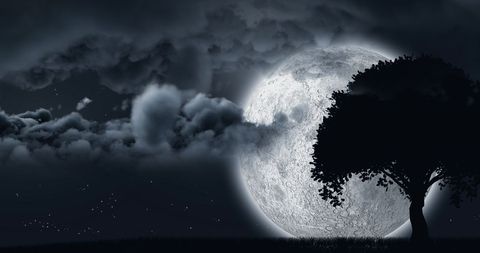 Serene Moonlit Night with Tree Silhouette and Clouds - Download Free Stock Images Pikwizard.com