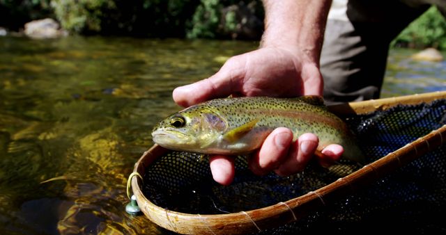 Fisherman holding a freshly caught rainbow trout above a freshwater stream with a fishing net. Couple can use this for outdoor recreation content, fishing tutorials, nature blogs, or advertisements emphasizing eco-friendly fishing and sportsmanship.