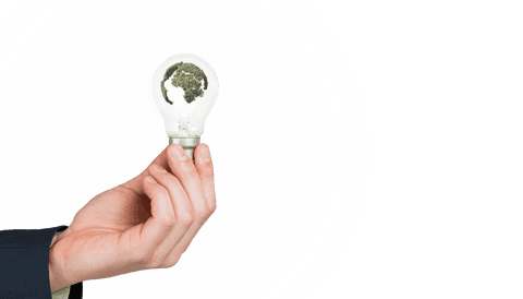 Hand Holding Light Bulb with Green Globe on Transparent Background