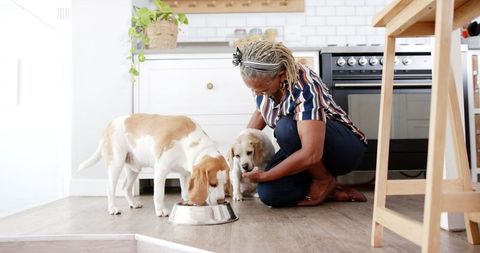 Senior Woman Feeding Dogs in Kitchen, Quality Time at Home