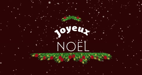 Joyeux Noël Snow Falling Over Festive Greeting Banner
