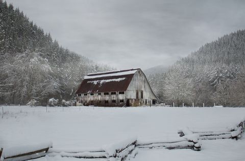 Rustic Barn Surrounded by Snowfall in Winter Landscape