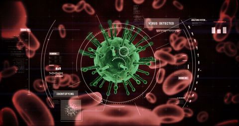 Digitized Visual of Virus Cells with Red Blood Cells - Download Free Stock Images Pikwizard.com